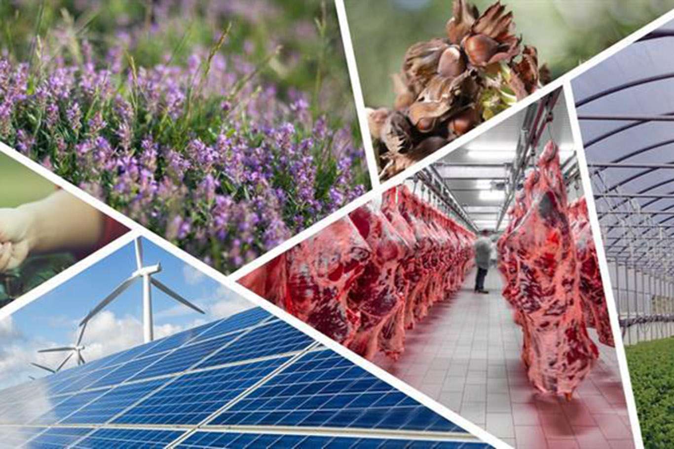 2021-2022 Dönemi Kırsal Kalkınma Hibe Desteği başvuruları başladı 2021-2022 Dönemi Kırsal Kalkınma Hibe Desteği başvuruları başladı